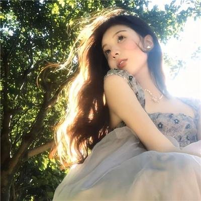 极岛森林第二季 封面